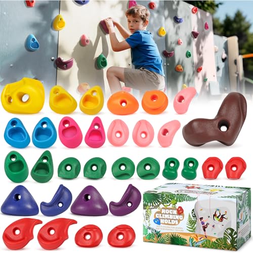 TOPNEW 32 Rock Climbing Holds Multi Size for Kids, Adult Rock Wall Holds Climbing Rock Wall Grips for Indoor and Outdoor Playground Play Set - Includes 2 Inch Mounting Hardware - style: 32 Pcs-Multicolor Color