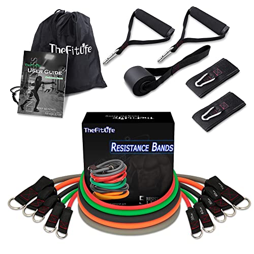 TheFitLife Resistance Bands Set for Women & Beginners – Home Workout Equipment with Handles, Door Anchor & Ankle Straps, Exercise Bands for Rehab, Yoga & Fitness - color: Grey 250lbs