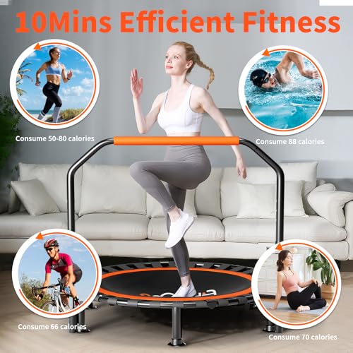 40"/48" Foldable Mini Trampoline Load 330lbs, Portable Exercise Rebounder with Durable Bungee Band, Fitness Trampoline for Adults and Kids