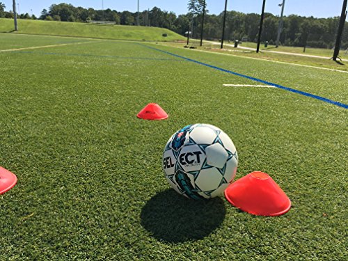 SELECT Marker Cone Series(Cones and Flat Markers)