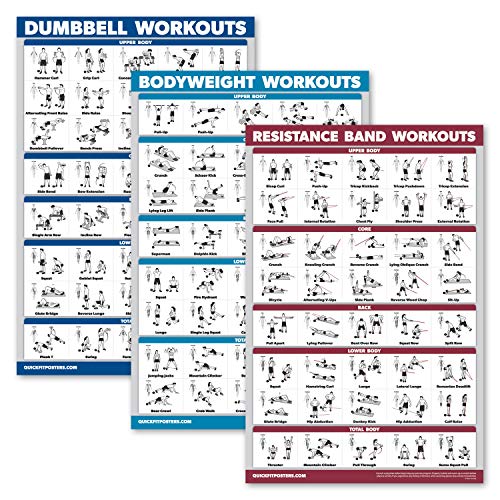 Palace Learning 3 Pack - Dumbbell Workouts + Bodyweight Exercises + Resistance Bands Poster Set - Set of 3 Workout Charts