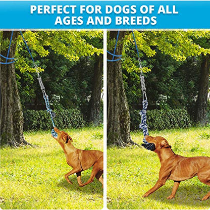 TT TRSMIMA Spring Pole Rope Toys: Rope Pull & Tug of War with a Big Spring Pole Kit & 2 Strong 16ft Toys - Muscle Builder Interactive Toy for Pitbull Medium to Large Dog - color: Blue