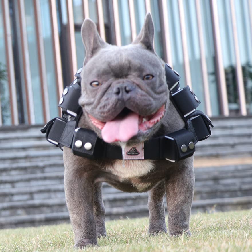 Weighted Tactical Dog Vest, No Pull Harness Symmetric Weight Pockets for Muscle & Weight Loss, Fit Pitbull GSD Husky, Heavy Nylon Service Harness Black - size: Dog's Waist 19.5"-24.5" | VEST ONLY