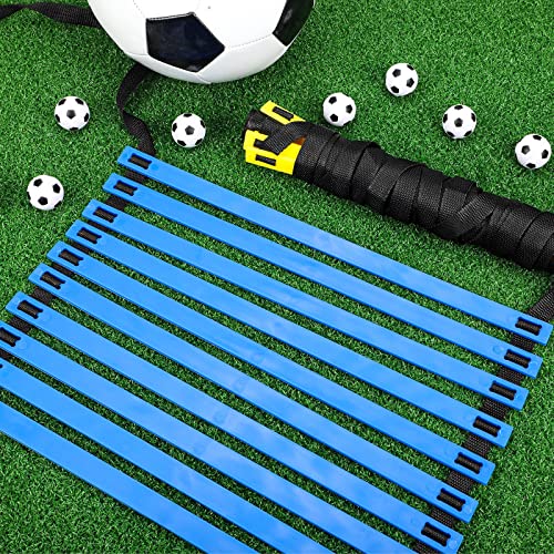 Agility Ladder 20 Feet Adjustable Rungs Speed Training Exercise Ladders with Carry Bag for Kids and Adults Soccer Football Boxing Footwork Sports Speed Agility Training