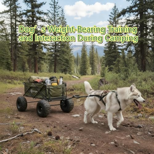 Weight Pulling Dog Harness for Dogs - Dog Pulling Harness for Sled & Running Training (Forest Green,L)