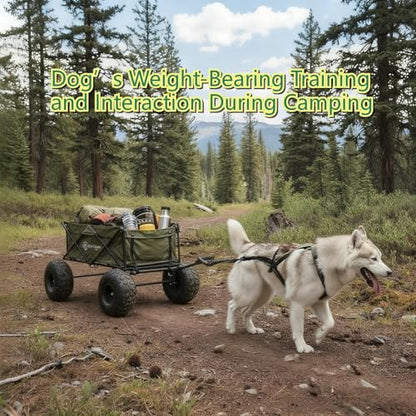 Weight Pulling Dog Harness for Dogs - Dog Pulling Harness for Sled & Running Training (Forest Green,L)