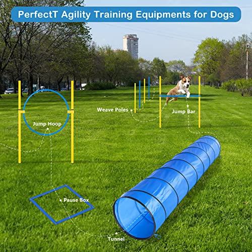 Dog Agility Course Backyard Set - Agility Training Equipment for Dogs Starter Kit-Pet Outdoor Games with Tunnel, Weave Poles, Adjustable Hurdle, Jump Ring, Pause Box, Toys and Carrying Bag