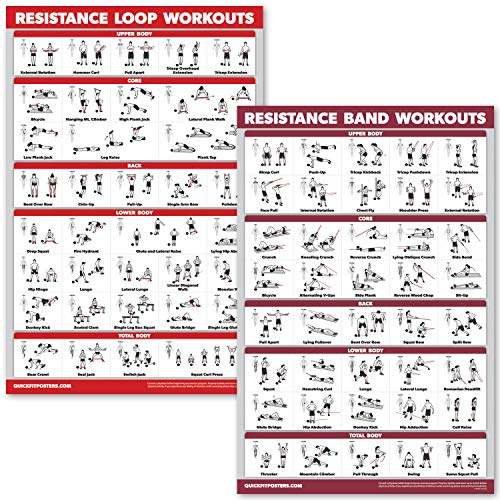QUICKFIT 2 Pack - Resistance Bands and Resistance Loops Workout Posters - Set of 2 LAMINATED Charts - Resistance Band Tubes and Loops Exercise Charts (Laminated, 18" x 24")