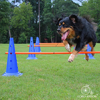 Dog Agility Hurdle Cone Set - 8 Cones & 4 Rods - Adjustable, Versatile, Heavy Duty - Agility, Obedience, Rehabilitation