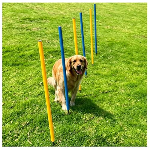 6-Pack Dog Agility Weave Poles with Stakes for Backyard Training - color: SLV-weave 6