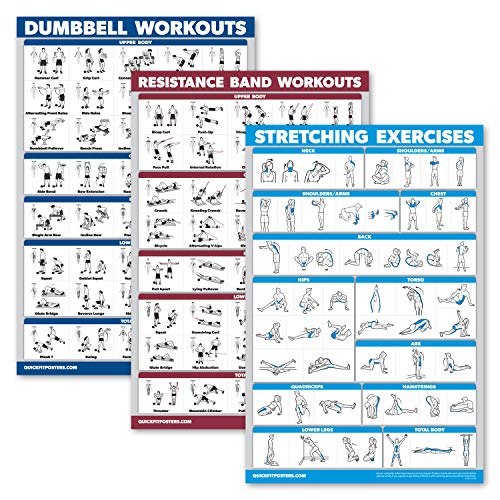 Palace Learning 3 Pack: Dumbbell Exercise Poster + Resistance Bands Workouts + Stretching Exercises - Set of 3 Workout Charts