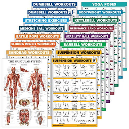 16 Pack - Exercise Workout Poster Set: Dumbbell , Suspension , Kettlebell , Bands , Medicine Ball , Battle Rope , Stretching , Bodyweight , Barbell , Yoga , Exercise Ball (PAPER - NOT LAMINATED , 18" x 24" )