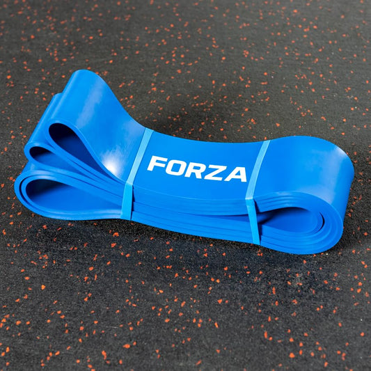 METIS Resistance Exercise Bands | Heavy Duty Latex Power Bands for Strength Training, Fitness Workouts, and Assisted Pull-Ups – 6 Resistance Levels, Sold Individually or as a Set - color: Blue (141-229lb Resistance)