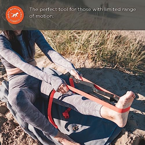 Tiger Tail The Stretchy Tiger 80” - Stretch/Yoga Strap with 10 Numbered Loops for Yoga, Physical Therapy, Pilates, & Exercise, Stretching Strap with Loop