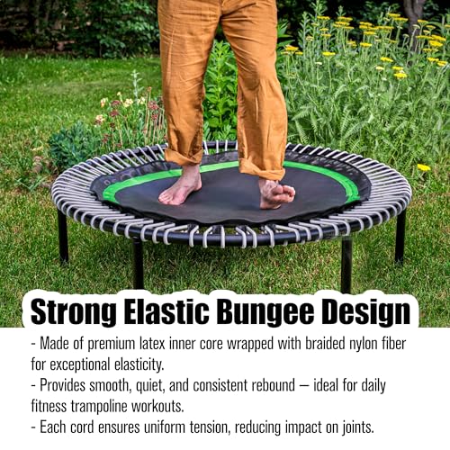 10Pcs Trampoline Bungee Cord Replacement Bands Elastic Rope Ties with Aluminum Buckle Accessories, 5 Inches Independent Cords for Tarp Canopy Exercise Fitness Rebounder Strap - Max Limit 300 lbs, Gray