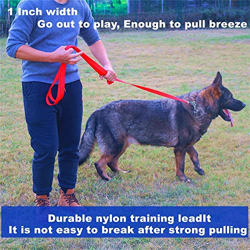 Strong Durable Nylon Dog Training Leash, 1 Inch Wide Traction Rope, 6 ft 10ft 15ft Long, for Small and Medium Dog (Brown, 10 Feet)
