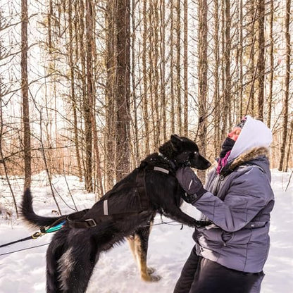 Dog Sled Harness for Pulling, Fog Sled Harnesses for Large Sogs, Adjustable Waterproof Dog Sled Pulling Harness for Dogs Exercise, Bikejoring, Skijoring (Red, XL)