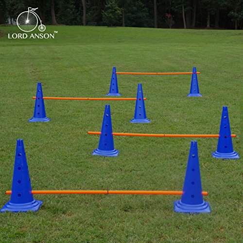 Dog Agility Hurdle Cone Set - 8 Cones & 4 Rods - Adjustable, Versatile, Heavy Duty - Agility, Obedience, Rehabilitation
