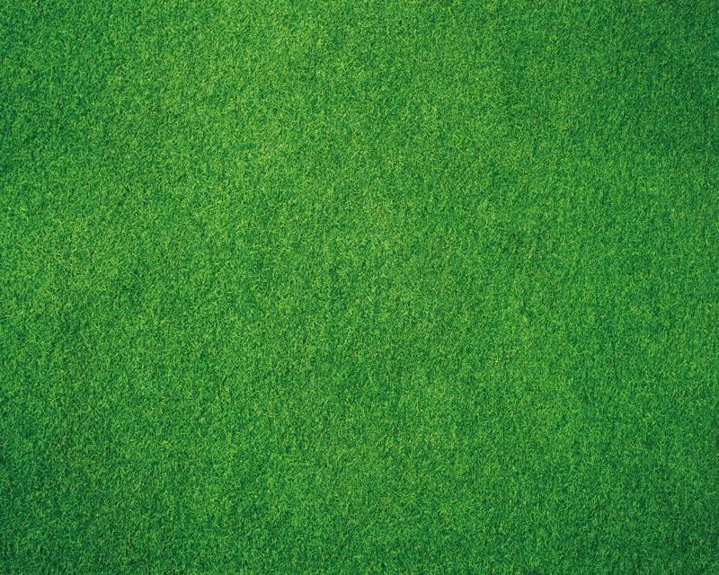 Kate Green Grass Rubber Photography Floor Mat 5x4ft - color: Green Grass, size: 5x4ft