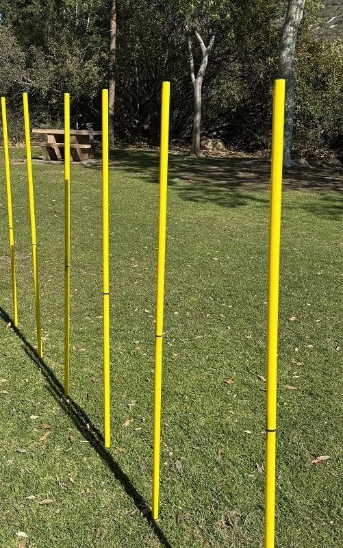 BlueDot Trading Soccer Agility Poles | Telescopic, Fixed & Collapsible Options (4, 6, 8 Piece Sets) Speed Training Poles for Agility Drills, Outdoor Games, Football & Sport Training Equipment - size: 6, style: Collapsible