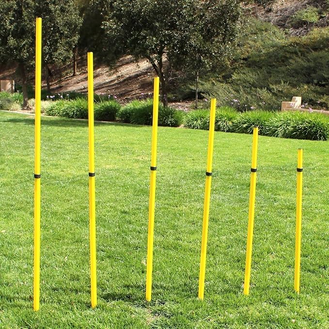 BlueDot Trading Soccer Agility Poles | Telescopic, Fixed & Collapsible Options (4, 6, 8 Piece Sets) Speed Training Poles for Agility Drills, Outdoor Games, Football & Sport Training Equipment - size: 4, style: Adjustable