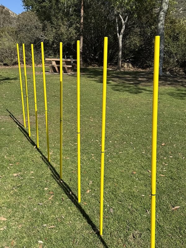 BlueDot Trading Soccer Agility Poles | Telescopic, Fixed & Collapsible Options (4, 6, 8 Piece Sets) Speed Training Poles for Agility Drills, Outdoor Games, Football & Sport Training Equipment - size: 8, style: Collapsible