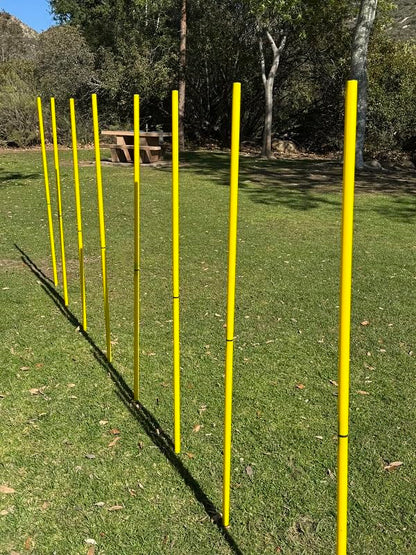 BlueDot Trading Soccer Agility Poles | Telescopic, Fixed & Collapsible Options (4, 6, 8 Piece Sets) Speed Training Poles for Agility Drills, Outdoor Games, Football & Sport Training Equipment - size: 8, style: Collapsible