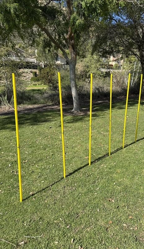 BlueDot Trading Soccer Agility Poles | Telescopic, Fixed & Collapsible Options (4, 6, 8 Piece Sets) Speed Training Poles for Agility Drills, Outdoor Games, Football & Sport Training Equipment - size: 6, style: Collapsible
