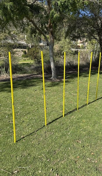 BlueDot Trading Soccer Agility Poles | Telescopic, Fixed & Collapsible Options (4, 6, 8 Piece Sets) Speed Training Poles for Agility Drills, Outdoor Games, Football & Sport Training Equipment - size: 6, style: Collapsible